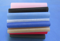 金银川路街道涤纶（PET）无纺布是什么